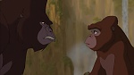 Image Tarzan