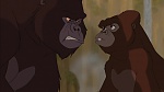 Image Tarzan