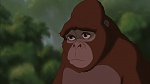 Image Tarzan