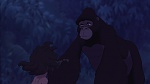 Image Tarzan