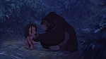 Image Tarzan