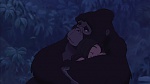 Image Tarzan