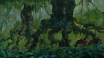 Image Tarzan