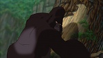 Image Tarzan