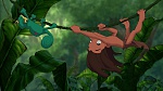 Image Tarzan