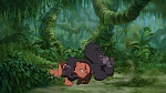 Image Tarzan