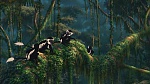 Image Tarzan