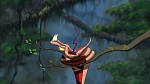 Image Tarzan
