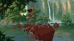 Image Tarzan