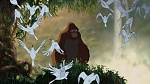 Image Tarzan