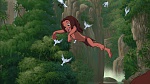 Image Tarzan