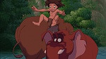 Image Tarzan