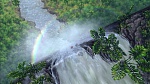 Image Tarzan