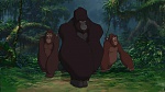 Image Tarzan