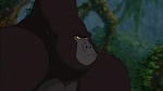 Image Tarzan