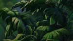 Image Tarzan
