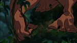 Image Tarzan
