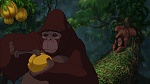 Image Tarzan