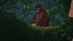 Image Tarzan