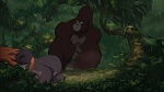 Image Tarzan