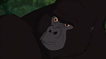 Image Tarzan