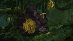 Image Tarzan