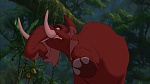 Image Tarzan