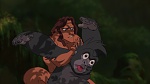 Image Tarzan