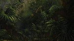 Image Tarzan