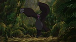 Image Tarzan