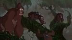 Image Tarzan