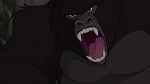 Image Tarzan