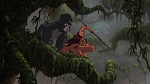 Image Tarzan