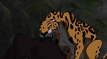 Image Tarzan