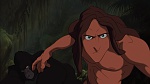 Image Tarzan