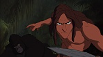 Image Tarzan