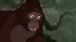 Image Tarzan