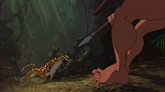 Image Tarzan