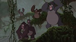 Image Tarzan
