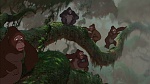 Image Tarzan