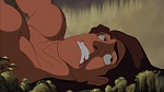 Image Tarzan