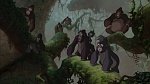 Image Tarzan