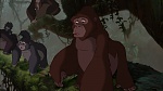 Image Tarzan