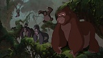 Image Tarzan