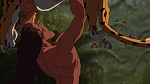Image Tarzan