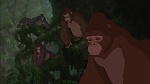 Image Tarzan
