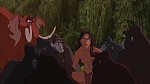 Image Tarzan