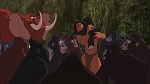 Image Tarzan