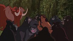 Image Tarzan