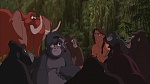 Image Tarzan